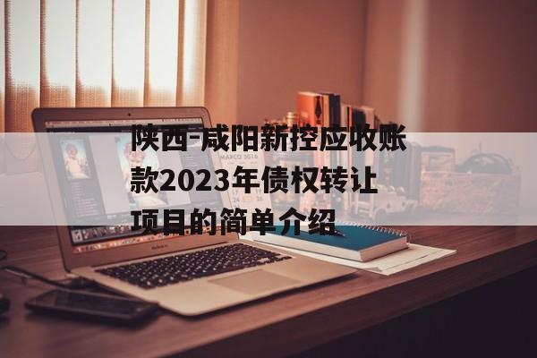 陕西-咸阳新控应收账款2023年债权转让项目的简单介绍