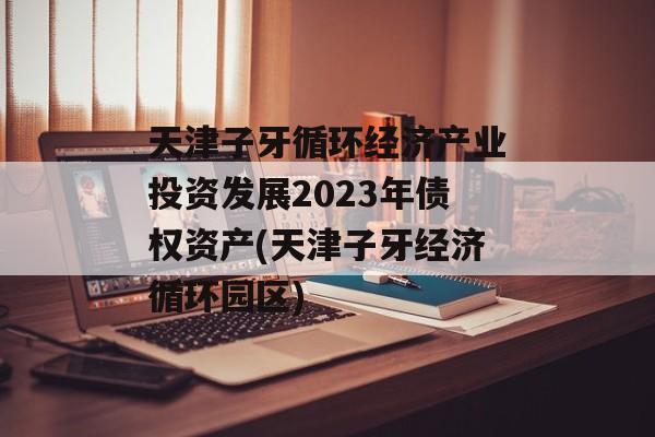 天津子牙循环经济产业投资发展2023年债权资产(天津子牙经济循环园区)
