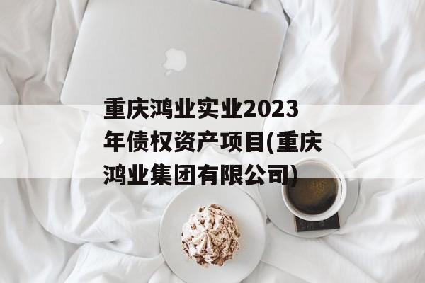 重庆鸿业实业2023年债权资产项目(重庆鸿业集团有限公司)