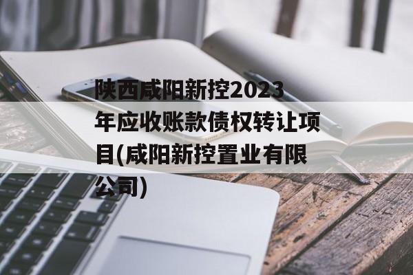 陕西咸阳新控2023年应收账款债权转让项目(咸阳新控置业有限公司)