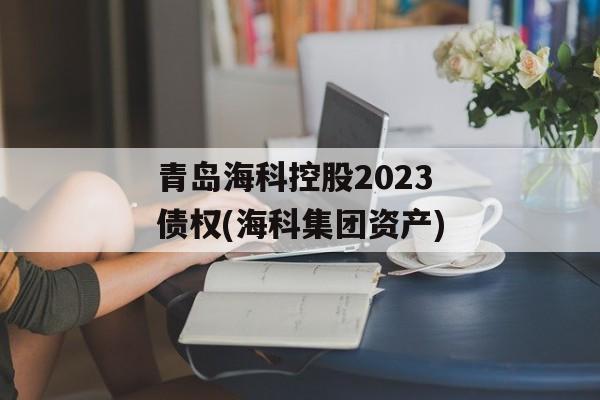 青岛海科控股2023债权(海科集团资产)