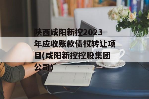陕西咸阳新控2023年应收账款债权转让项目(咸阳新控控股集团公司)