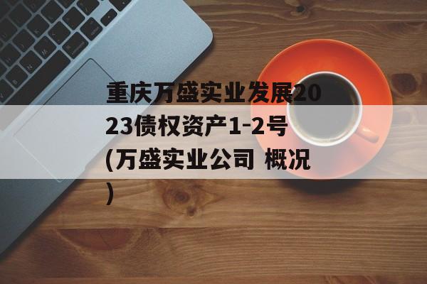 重庆万盛实业发展2023债权资产1-2号(万盛实业公司 概况)