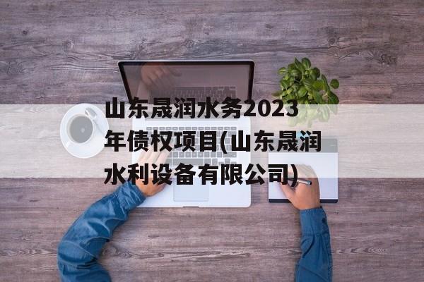 山东晟润水务2023年债权项目(山东晟润水利设备有限公司)