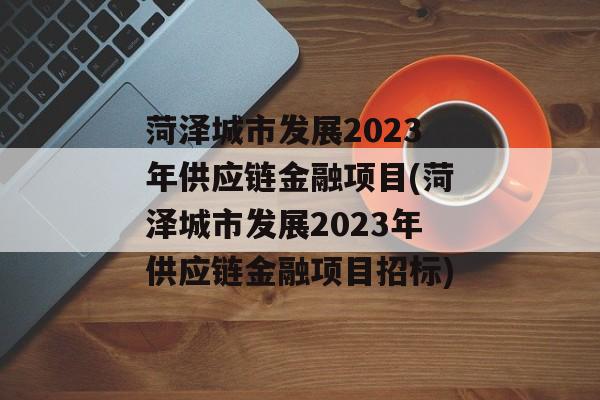 菏泽城市发展2023年供应链金融项目(菏泽城市发展2023年供应链金融项目招标)
