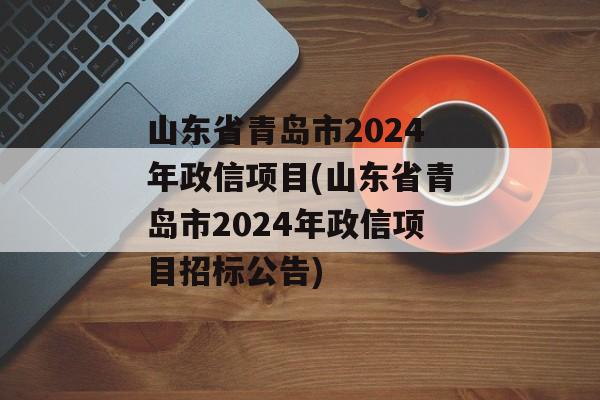 山东省青岛市2024年政信项目(山东省青岛市2024年政信项目招标公告)