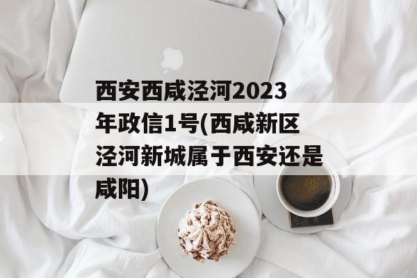 西安西咸泾河2023年政信1号(西咸新区泾河新城属于西安还是咸阳)