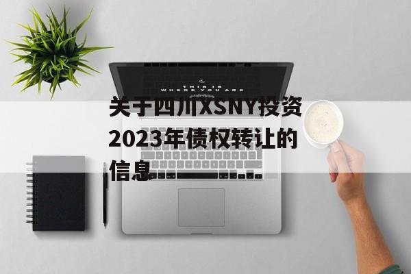 关于四川XSNY投资2023年债权转让的信息