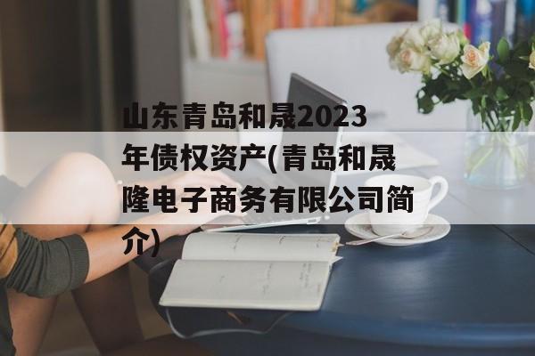 山东青岛和晟2023年债权资产(青岛和晟隆电子商务有限公司简介)