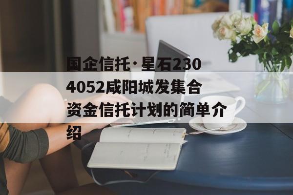 国企信托·星石2304052咸阳城发集合资金信托计划的简单介绍