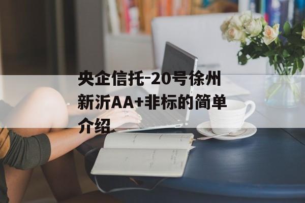 央企信托-20号徐州新沂AA+非标的简单介绍