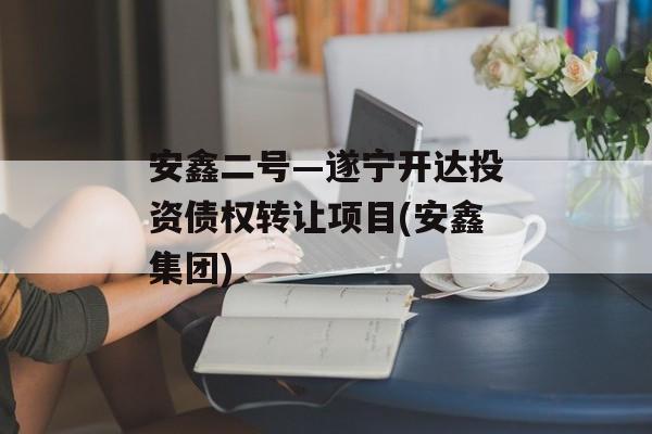 安鑫二号—遂宁开达投资债权转让项目(安鑫集团)