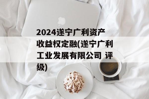 2024遂宁广利资产收益权定融(遂宁广利工业发展有限公司 评级)