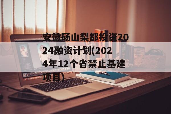 安徽砀山梨都投资2024融资计划(2024年12个省禁止基建项目)