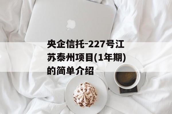 央企信托-227号江苏泰州项目(1年期)的简单介绍