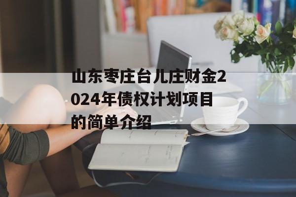 山东枣庄台儿庄财金2024年债权计划项目的简单介绍