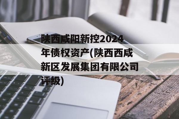 陕西咸阳新控2024年债权资产(陕西西咸新区发展集团有限公司评级)