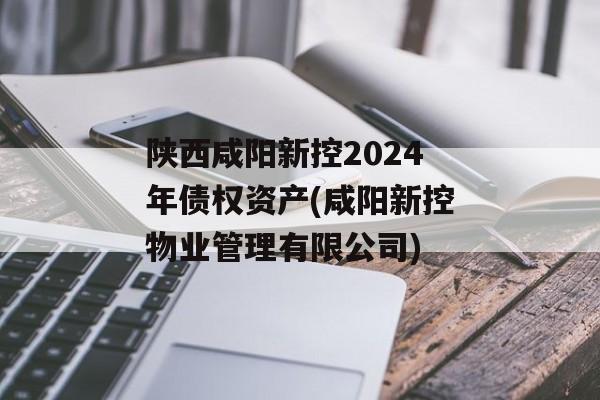陕西咸阳新控2024年债权资产(咸阳新控物业管理有限公司)