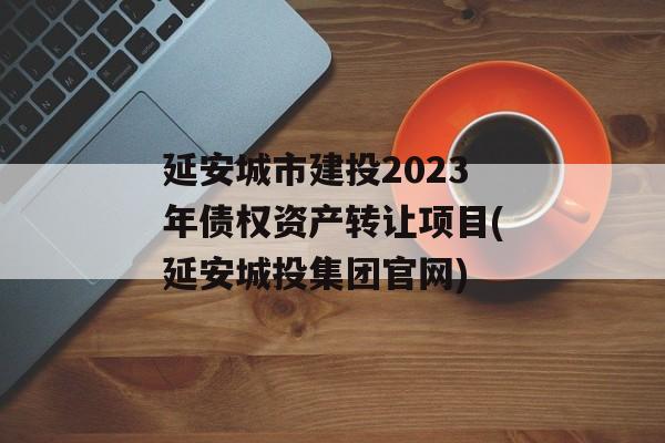延安城市建投2023年债权资产转让项目(延安城投集团官网)