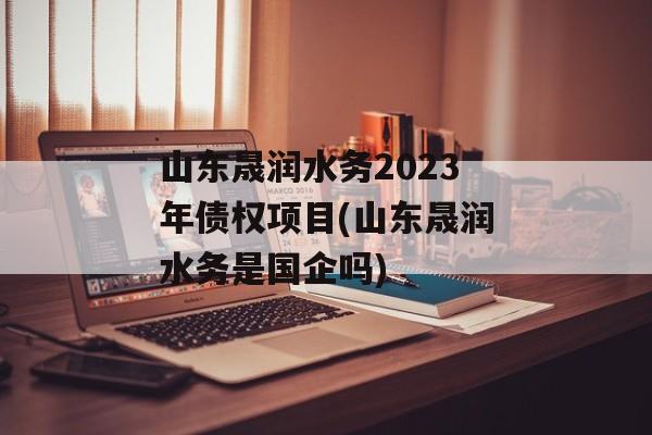 山东晟润水务2023年债权项目(山东晟润水务是国企吗)