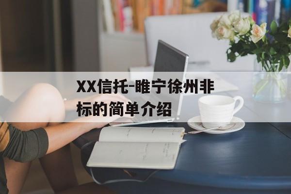 XX信托-睢宁徐州非标的简单介绍