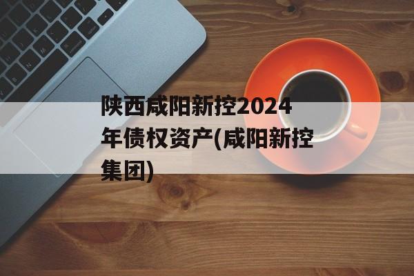 陕西咸阳新控2024年债权资产(咸阳新控集团)