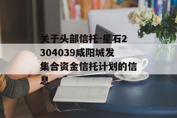 关于头部信托-星石2304039咸阳城发集合资金信托计划的信息