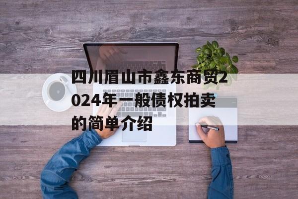四川眉山市鑫东商贸2024年一般债权拍卖的简单介绍