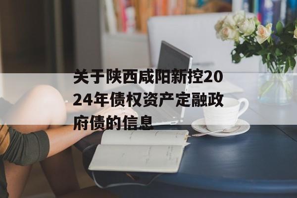 关于陕西咸阳新控2024年债权资产定融政府债的信息