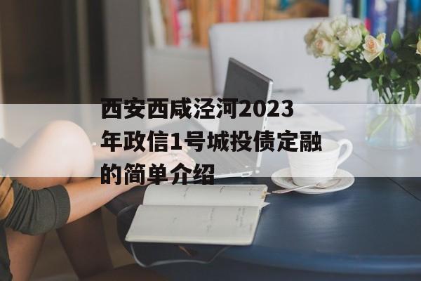 西安西咸泾河2023年政信1号城投债定融的简单介绍