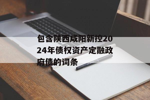 包含陕西咸阳新控2024年债权资产定融政府债的词条