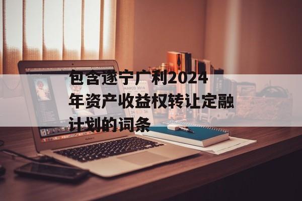包含遂宁广利2024年资产收益权转让定融计划的词条