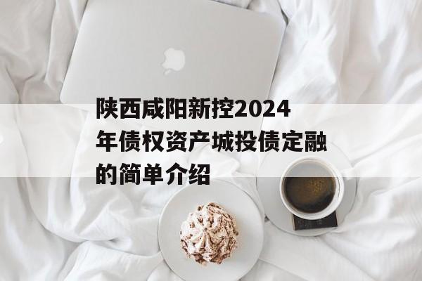 陕西咸阳新控2024年债权资产城投债定融的简单介绍