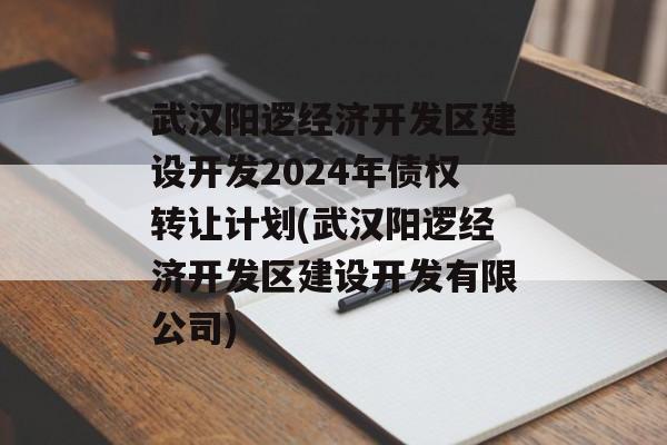武汉阳逻经济开发区建设开发2024年债权转让计划(武汉阳逻经济开发区建设开发有限公司)