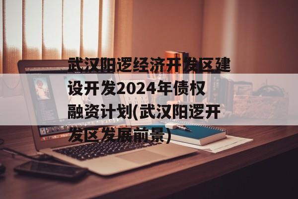 武汉阳逻经济开发区建设开发2024年债权融资计划(武汉阳逻开发区发展前景)