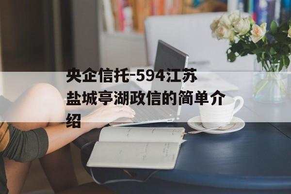 央企信托-594江苏盐城亭湖政信的简单介绍