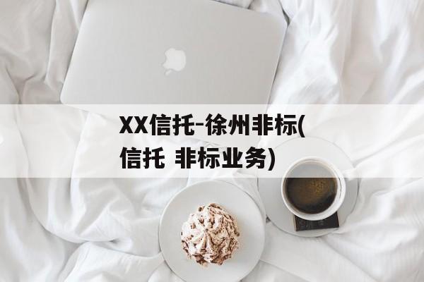 XX信托-徐州非标(信托 非标业务)