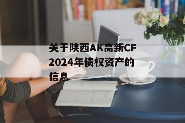 关于陕西AK高新CF2024年债权资产的信息