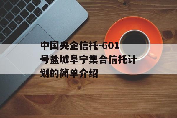 中国央企信托-601号盐城阜宁集合信托计划的简单介绍