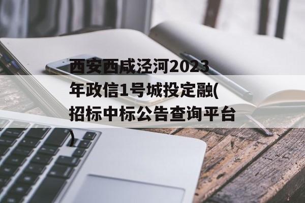 西安西咸泾河2023年政信1号城投定融(招标中标公告查询平台)
