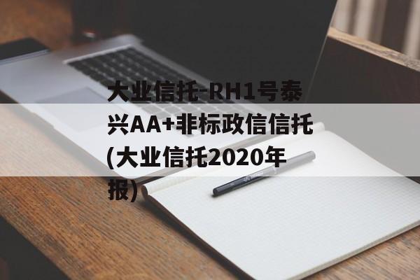 大业信托-RH1号泰兴AA+非标政信信托(大业信托2020年报)