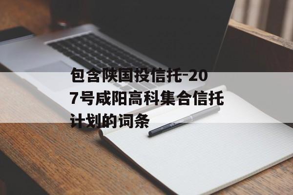 包含陕国投信托-207号咸阳高科集合信托计划的词条